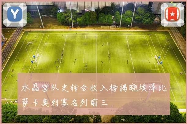 水晶宫队史转会收入榜揭晓埃泽比萨卡奥利塞名列前三